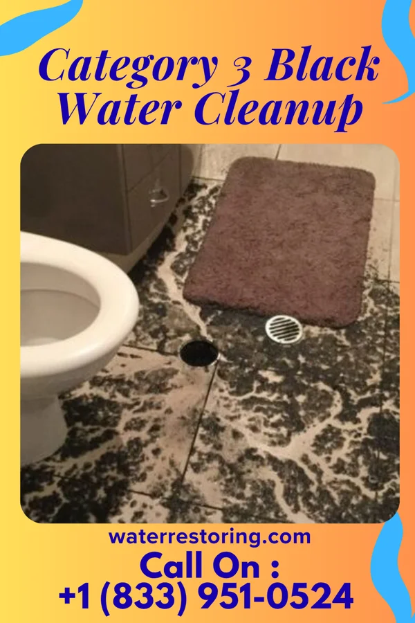 Category 3 Black Water Cleanup in Omaha, IL
