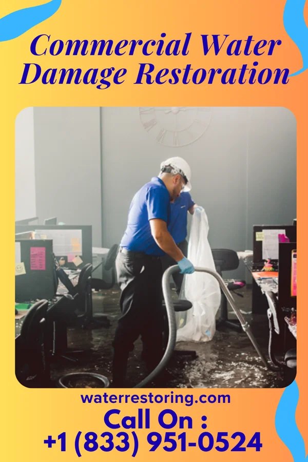 Commercial Water Damage Restoration in Omaha, IL