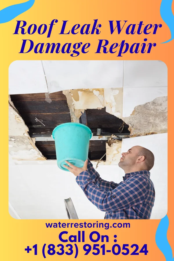 Roof Leak Water Damage Repair in Omaha, IL
